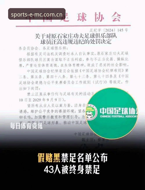 中国足球反腐风暴再升级：第三批禁足名单最新动态，易倍体育官网深度解读行业变革